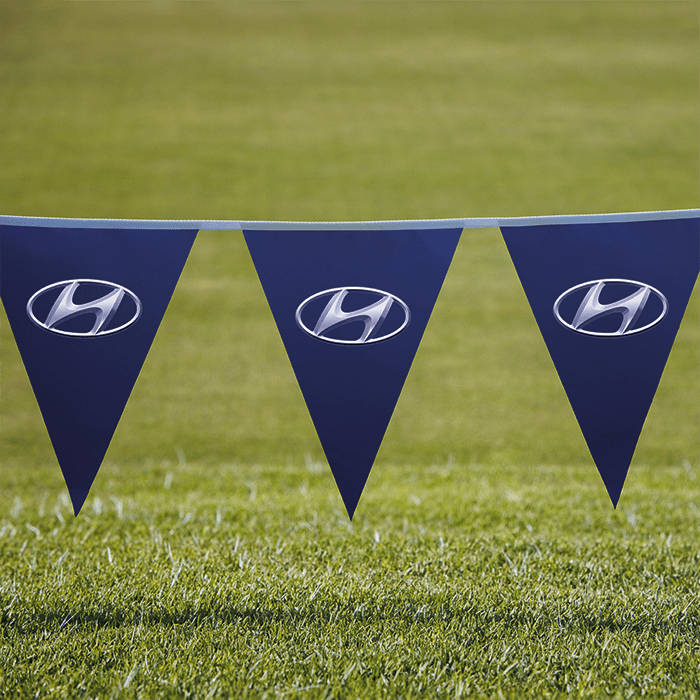 Pennants PVC Digital Double Sided Triangle